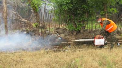 La fumigación es una medida de prevención.