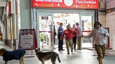 Los ciudadanos reaccionaron alarmados ante los fuertes movimientos sísmicos. AFP.