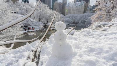 Así amaneció de teñida de blanco la ciudad de Nueva York este domingo tras la caída de la primera nevada de la temporada, que se ha dejado notar también en Boston y Filadelfia