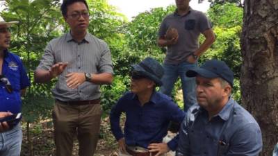 El designado presidencial Ricardo Álvarez y miembros de la misión taiwanesa.