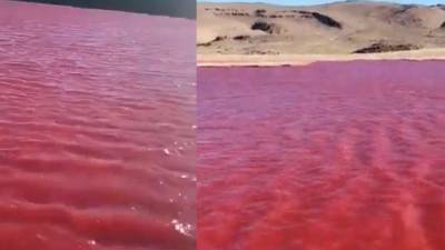 El río Nilo se tiño de color rojo y este suceso ha llamado poderosamente la atención de los habitantes que residen en las cercanías de su cauce.