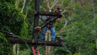 La Empresa Nacional de Energía Eléctrica (Enee) realizará este viernes 25 de septiembre trabajos de mantenimiento y revisión de líneas en circuitos de Comayagua, Distrito Central, San Pedro Sula y municipios de Atlántida, con interrupciones programadas entre las 6:00 am. y las 6:00 pm.