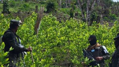 Al llegar los agentes y militares no habían personas en la zona.