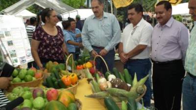 Jacobo Paz, ministro de la Secretaría de Agricultura y Ganadería (SAG), recorre el Centro de Entrenamiento de Desarrollo Agrícola (Ceda) en Comayagua.