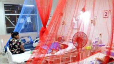 Honduras registra cada semana entre 5,000 y 8,000 casos de dengue.