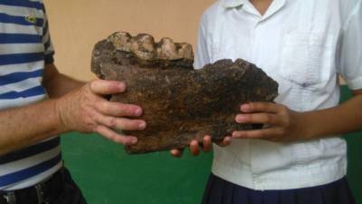 Los habitantes muestran parte de la gigantesca mandíbula encontrada por un agricultor.