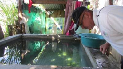Las jornadas operativos para la eliminación de los criaderos del zancudo transmisor del zika continúan en el país.