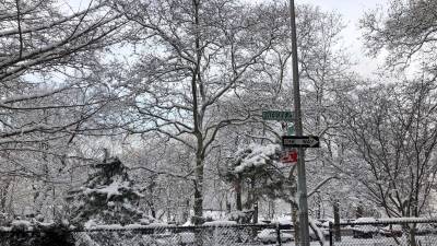 Árboles cubiertos por la nieve hoy, en el parque Riverside, en el Upper West de Nueva York (EE.UU.). EFE/ Javier Otazu