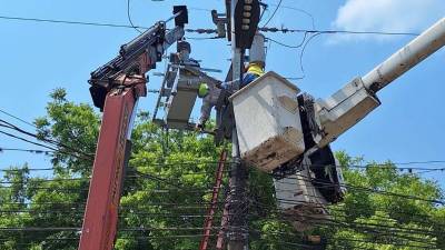 La Empresa Nacional de Energía Eléctrica (Enee) programó para este jueves 10 de septiembre cortes temporales del servicio eléctrico en sectores del Distrito Central, Choloma, Cortés, Valle y Tela, Atlántida, debido a trabajos de mantenimiento en varios circuitos y subestaciones.