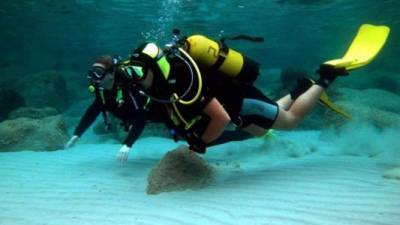 Dos extranjeros practican buceo en los arrecifes coralinos de Roatán, Islas de la Bahía.