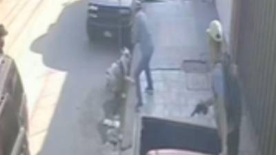 El perro pitbull defendió a su amo de un asalto en San Pedro Sula.