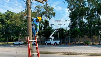 En la distribución está el mayor deterioro de la Empresa Nacional de Energía Eléctrica (Enee).