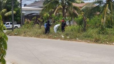 Uno de los hechos ocurrió en la colonia Sinaí del sector Bonitillo.