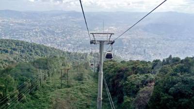 Hacia donde se voltee hay plataneros, palmeras, bambúes, nochebuenas y hasta árnica.