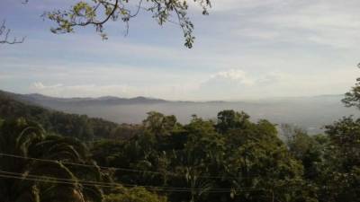 El cielo de San Pedro Sula estará parcialmente nublado.