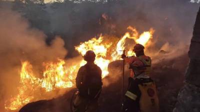 Tegucigalpa registra 122 incendios forestales, en lo que va de 2026, lo que deja más de 1,355 hectáreas afectadas, según datos del Instituto de Conservación Forestal (ICF).