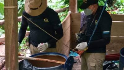 La plantación de coca al igual que el narcolaboratorio fueron destruidos, pero en zonas de Colón habría otras plantaciones extensas.