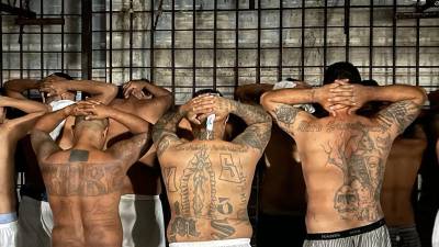 Los operativos contra las pandillas continuarán hasta el 24 de abril bajo el estado de excepción decretado por Bukele por la ola de violencia en El Salvador.