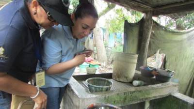 Piden eliminar los criaderos de zancudos.