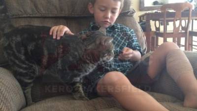 El pequeño Jeremy declaró que: 'Tara es mi héroe'.