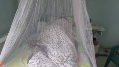 Salud reporta un total de 31,459 casos de zika acumulados desde diciembre de 2015.