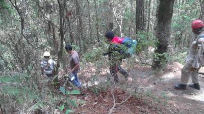 Imágen del rescate realizado este miércoles en el punto más alto de Honduras, localizado en el occidente de Honduras.