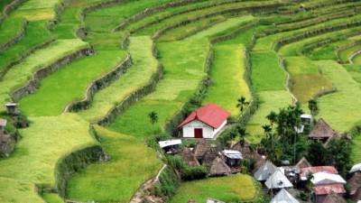 La cordillera tallada con terrazas de arroz es un destino imperdible.