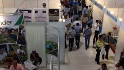 La exposición en la feria de agromercados.
