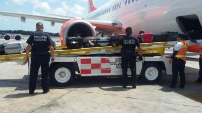 La aerolínea alertó sobre el hallazgo de los paquetes.