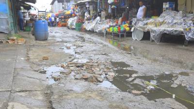 Esta es la realidad de las calles y avenidas aledañas a mercados y zonas donde se comercializan productos en la capital industrial en el cuadrante sureste.