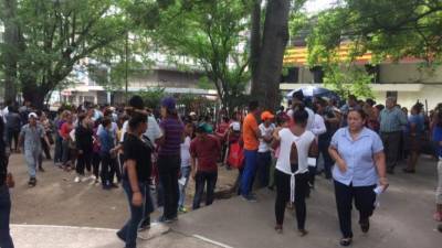 En un 300% ha aumentado la llegada de usuarios al RNP durante este mes, según datos de las autoridades.