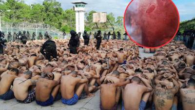 La medida de las manos sobre la cabeza mientras caminan agachados y son colocados apilados unos a unos es una técnica militar conocida como fase de dominación que se realiza al desconocer el actuar de los privados de libertad.