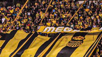 Real España ha tenido buena asistencia de aficionados en los clásicos ante Olimpia y Motagua.