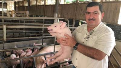 Jeovany Pérez, director de SAG Dicta, muestra una de las crías del proyecto.