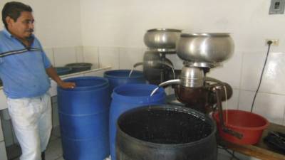 El sector ganadero de Comayagua resiente la falta de asistencia a la inversión.