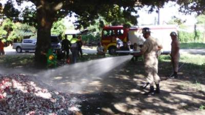 El producto fue destruido en la 105 Brigada.