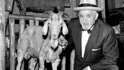 William Sianis, aficionado de los Cubs y propietario de una taberna de la ciudad, compró dos boletas y pretendió ingresar al partido decisivo con su mascota, una cabra a la que llamaba Murphy.