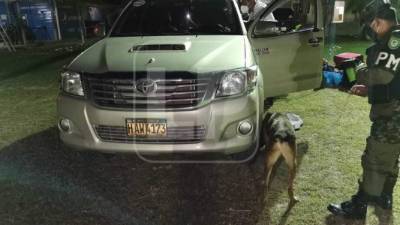 Fuentes oficiales confirmaron Tonela Paisano Wood venía de Tegucigalpa y en un retén en la entrada a La Ceiba fue requerida.