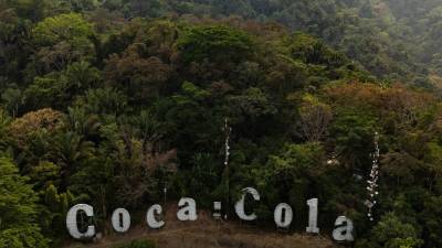 El Acuerdo Institucional 092-2025, del gobierno anterior, es la base para la creación de un nuevo Decreto Ley que contemplaría la recategorización de la zona de reserva del merendón.