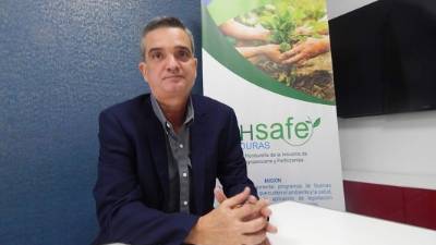 Mario Valladares, director ejecutivo de la Ahsafe.