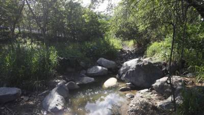 El agua que consumen en San Pedro Sula es 70% subterránea, de pozos, ya que las fuentes superficiales se secan sobre todo en verano.