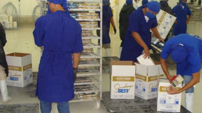 El arrendamiento de las fincas camaroneras sigue generando pérdidas.