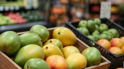 El sector exportador debe cumplir las nuevas normas que surgen en el comercio internacional, por ejemplo, la Norma Final de Trazabilidad de la Administración de Alimentos y Medicamentos (FDA, por sus siglas en inglés) antes del 20 de julio de 2028 para comercializar mangos, otra frutas, vegetales y alimentos en Estados Unidos.