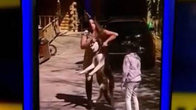 La mujer agredió al perro husky pese a que un niño le pedía que no lo hiciera.