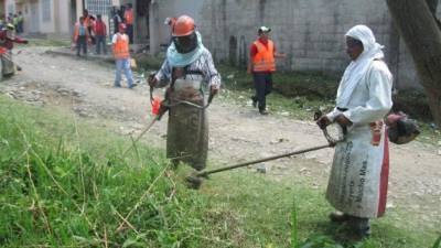 Empleados de distintas dependencias municipales trabajaron en las diferentes colonias.