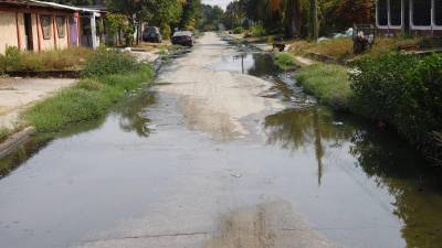 Una de las calles de la colonia Céleo Gonzales inundada de aguas negras y residuales. Todos los días es la misma historia.