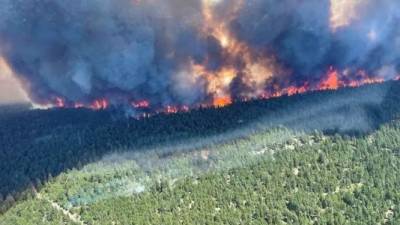 Los incendios forestales se intensifican en California por la ola de calor que azota el noroeste del país y parte de Canadá./AFP.