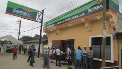 Los vencimientos que tienen los préstamos agrícolas y que manejará Banrural tienen plazos máximos de siete años, con tasas de interés del 6% y 10.5% anual.