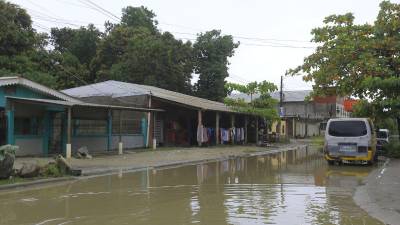 Las aguas estancadas en la colonia Brisas del Sauce, en el sector Rivera Hernández, generan malos olores y preocupación entre los vecinos, quienes solicitan una intervención urgente para evitar riesgos a la salud.
