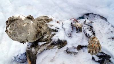 Las autoridades manejan la hipótesis de que el cuerpo momificado podría pertenecer a un piloto o pasajero de una avioneta que se estrelló hace varias décadas en la montaña.